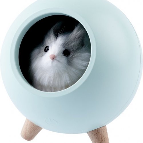 Ночник  NLED-468-1W-GR