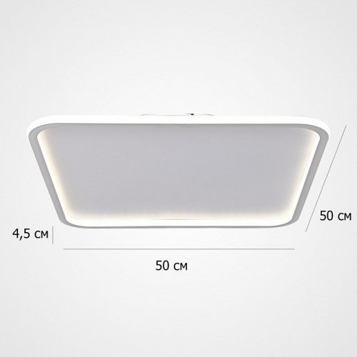 Потолочный светильник ImperiumLoft Imperio_Quadro01