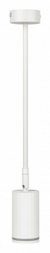 Светильник на штанге Эра OL43 WH Б0058489