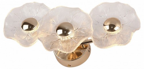 Бра Rivoli Shannon 6135-401 Б0061948