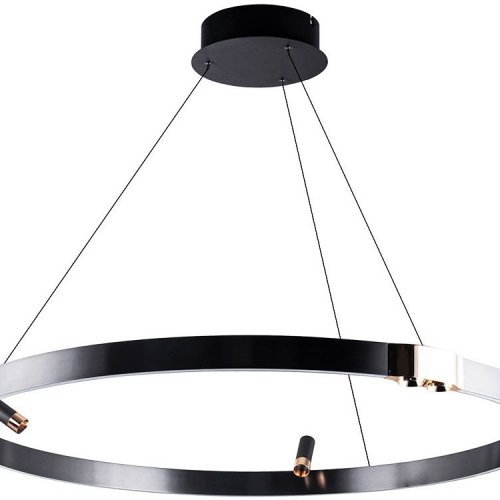 Подвесной светильник Arte Lamp Cesare A1993SP-38BK