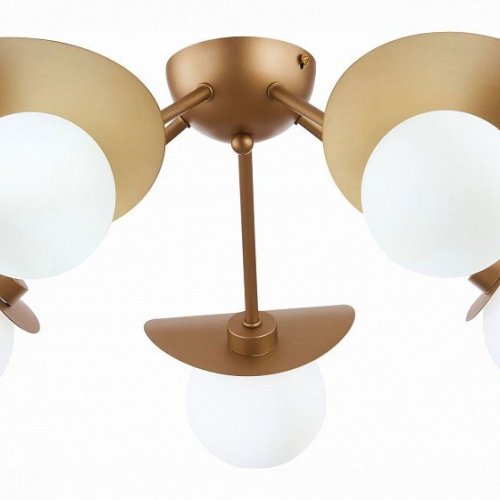 Потолочная люстра Evoluce Bolzano SLE220502-05 Потолочная люстра Evoluce Bolzano SLE220502-05