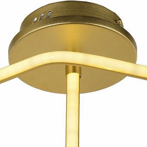 Потолочный светодиодный светильник Arti Lampadari Angelo L 1.2.35.08 G Потолочный светодиодный светильник Arti Lampadari Angelo L 1.2.35.08 G