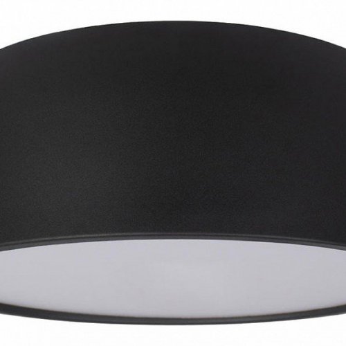 Потолочный светильник Loft IT Axel 10201/350 Black