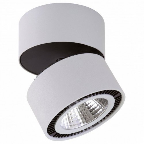 Точечный накладной светильник Lightstar Forte Muro 214830 Точечный накладной светильник Lightstar Forte Muro 214830