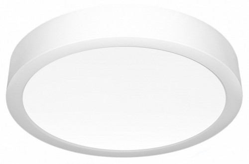 Потолочный светильник Citilux Галс CL5516N