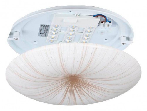 Потолочный светодиодный светильник Eglo Nieves 1 900498