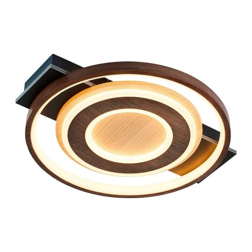 Потолочный светильник Labrea 4699-1C