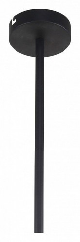 Подвесная люстра F-Promo Chart 3092-8P