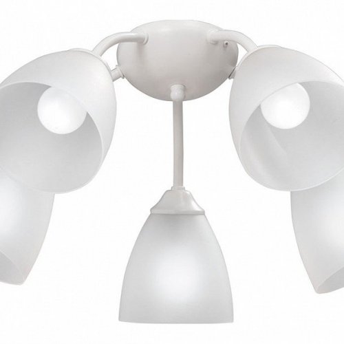 Потолочная люстра Vitaluce V3737-0/5PL Потолочная люстра Vitaluce V3737-0/5PL