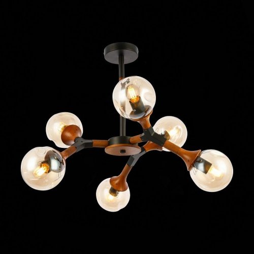 Потолочная люстра Evoluce Raquel SLE109402-06 Потолочная люстра Evoluce Raquel SLE109402-06