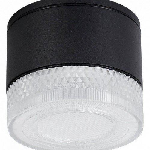 Потолочный светильник уличный Arte Lamp Piautos A1926PF-1BK