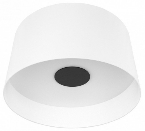 Потолочный светодиодный светильник Loft IT Duo 10360L White