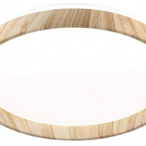 Накладной светильник Citilux ENZO CL753452G Накладной светильник Citilux ENZO CL753452G