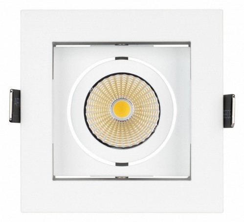 Встраиваемый светильник Arlight Cl-kardan CL-KARDAN-S102x102-9W Warm (WH, 38 deg) Встраиваемый светильник Arlight Cl-kardan CL-KARDAN-S102x102-9W Warm (WH, 38 deg)