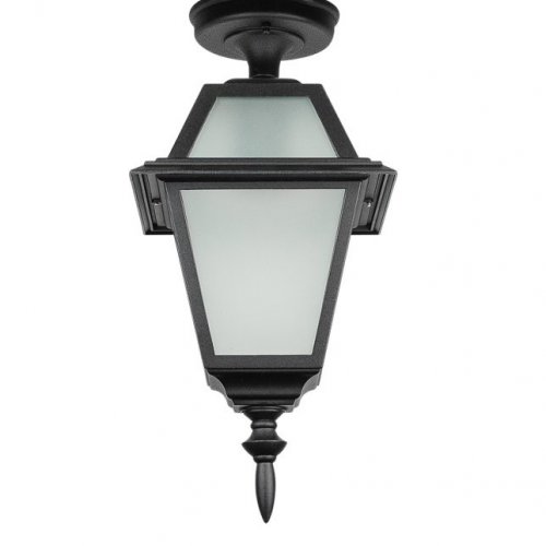 Потолочный светильник уличный Oasis Light FARO-FROST S 91105fSA Bl