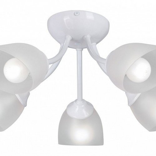 Потолочная люстра Vitaluce V3405-0/5PL Потолочная люстра Vitaluce V3405-0/5PL