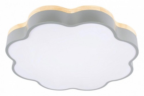 Потолочный светильник Loft IT Axel 10225/36 Grey