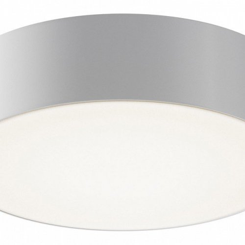 Потолочный светильник уличный Maytoni Zon IP O431CL-L30W4K