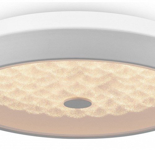 Накладной светильник Freya LED FR10012CL-L24W