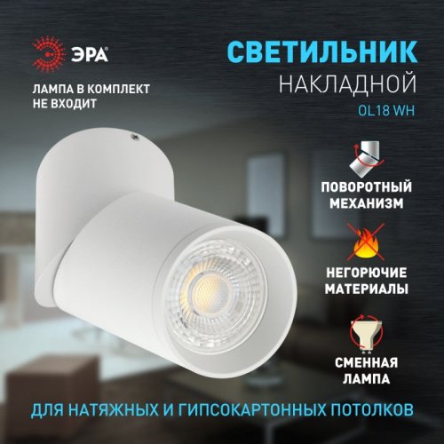 Спот OL18 WH