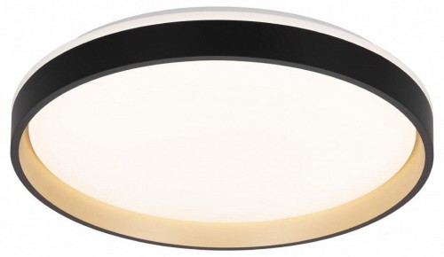 Накладной светильник Citilux ENZO CL753451G Накладной светильник Citilux ENZO CL753451G