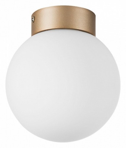 Настенно-потолочный светильник Lightstar Globo 812013