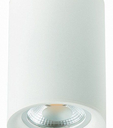Потолочный светильник ST Luce ST114.507.01 Потолочный светильник ST Luce ST114.507.01