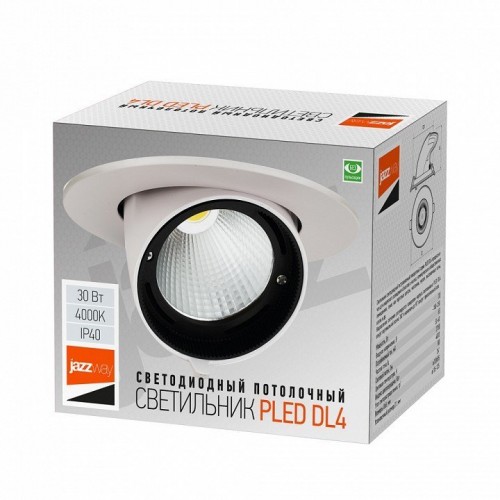 Встраиваемый светильник Jazzway  PLED DL4 30W 4000K 24° White  IP40