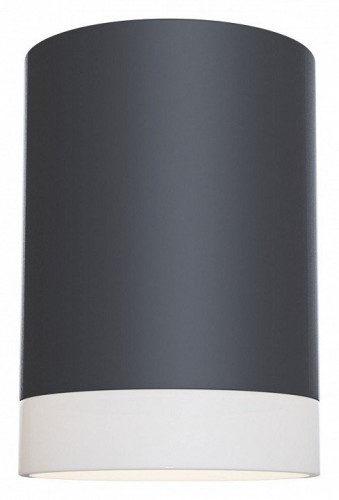 Потолочный светильник Maytoni Pauline C008CW-01B Потолочный светильник Maytoni Pauline C008CW-01B