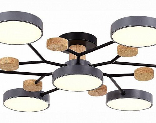 Потолочная люстра EVOLUCE Faema SLE6006-702-07 Потолочная люстра EVOLUCE Faema SLE6006-702-07