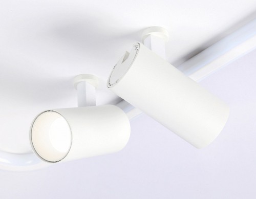 Потолочный светильник Ambrella light Comfort FL5114