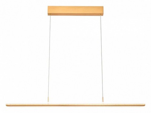 Подвесной светильник Vele Luce Futuro VL7224P01