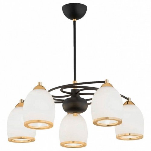 Потолочная люстра Imex MD.8388-5-P-BK