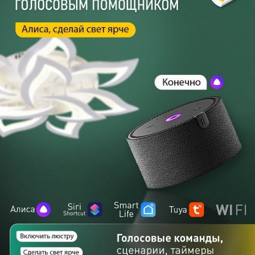 Потолочная люстра Natali Kovaltseva Olimp Ii LED SMART 84023