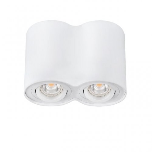 Точечные светильники Kanlux BORD DLP-250-W 22554