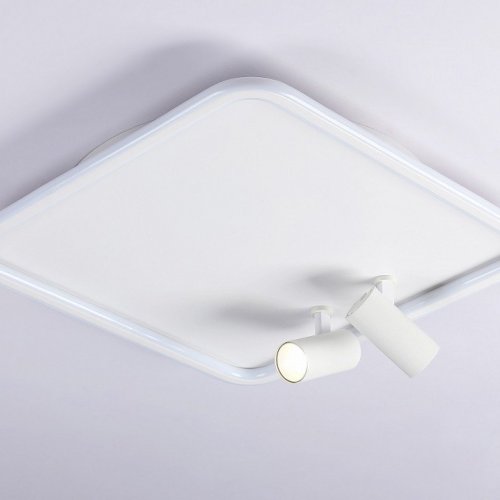 Потолочный светильник Comfort FL5114