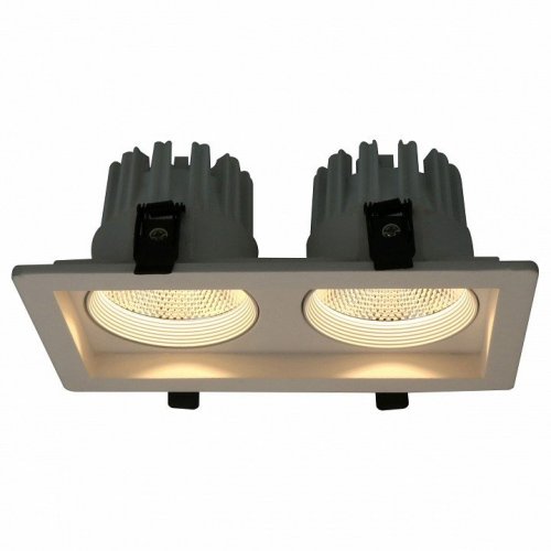 Точечный встраиваемый светильник Arte Lamp 7007 A7007PL-2WH