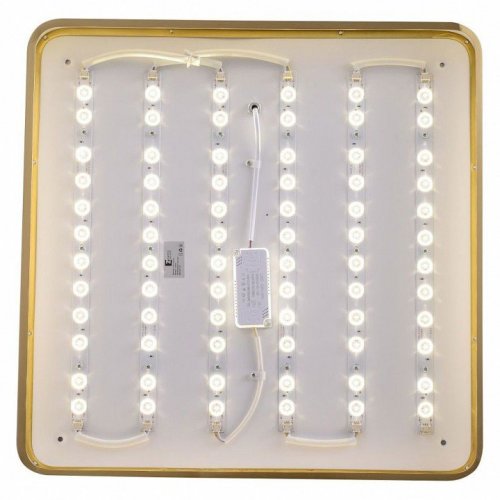 Потолочный светильник Zortes Monna ZRS.1209.05