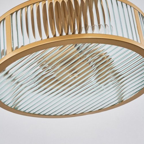 Потолочная люстра Favourite Radiales 3099-3C Потолочная люстра Favourite Radiales 3099-3C