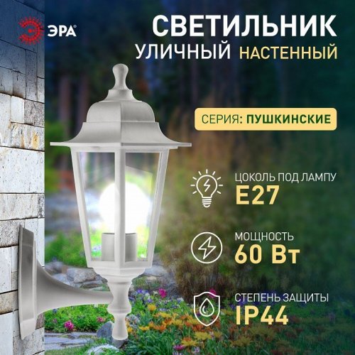 Светильник на штанге Эра  НБУ 06-60-001 белый