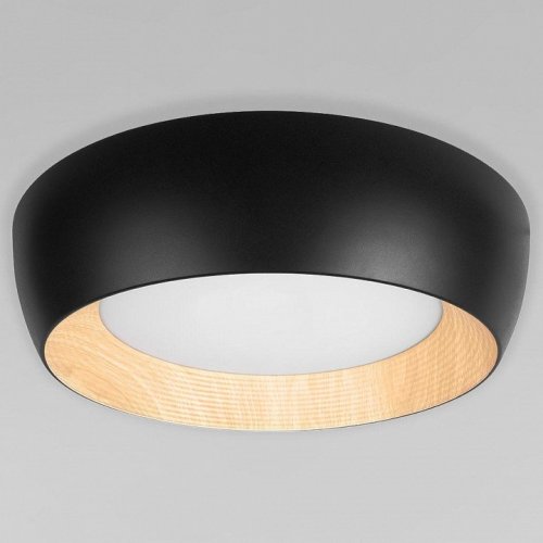 Потолочный светильник Loft IT Folk 10255/500 Black