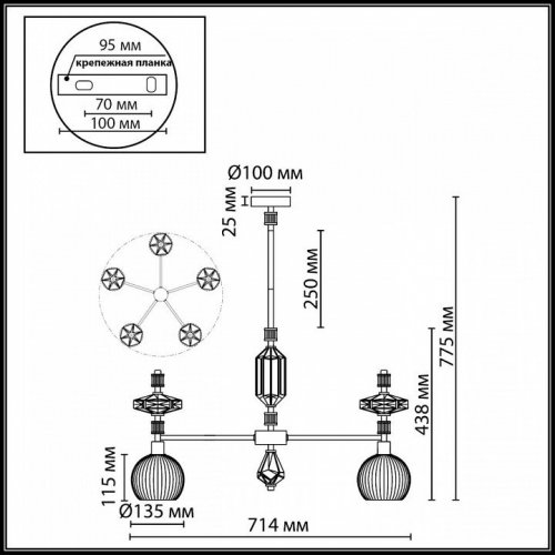 Потолочная люстра Odeon Light Terra 5414/5