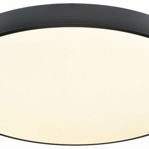 Потолочный светильник Velante 444-667-01