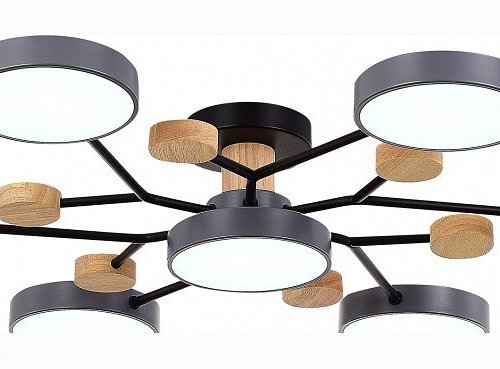 Потолочная люстра EVOLUCE Faema SLE6006-702-07 Потолочная люстра EVOLUCE Faema SLE6006-702-07