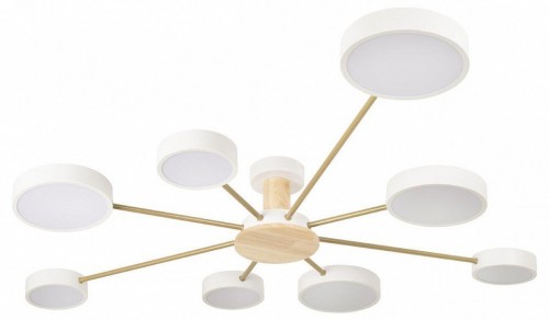 Потолочная люстра Loft IT Sunrise 10316/8 White