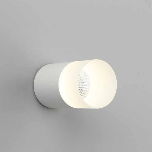 Потолочный светодиодный светильник Omnilux Ercolano OML-100009-05
