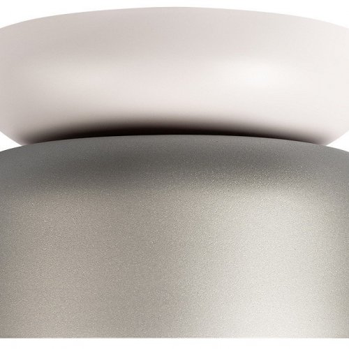 Потолочный светильник Loft IT Totem 10466 Smoke matte