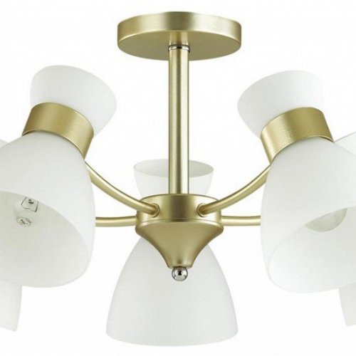 Потолочная люстра Lumion Wilma 4535/5C Потолочная люстра Lumion Wilma 4535/5C