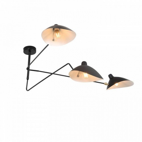 Люстра на штанге ST Luce Spruzzo SL305.402.03 Люстра на штанге ST Luce Spruzzo SL305.402.03